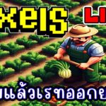 [ LIVE ] Pixel (NFT) จะเวล 75 แล้ว EP.239