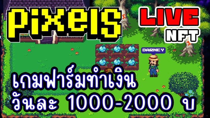 [ LIVE ] Pixel (NFT) จะเวล 75 แล้ว ได้เวลาทำตัวใหม่ EP.240