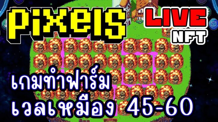 [ LIVE ] Pixel (NFT) ของแพง ค่าแรงถูก EP.221