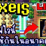 [ LIVE ] Pixel (NFT) ทำไวน์ไว้เก็บเวลกันดีกว่า EP.231