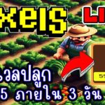 [ LIVE ] Pixel (NFT) ตั้งใจเก็บเวลปลูกก่อนดีกว่า EP.232