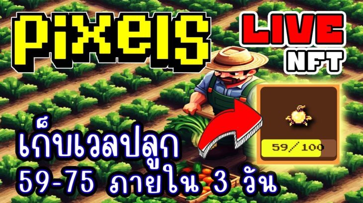 [ LIVE ] Pixel (NFT) ตั้งใจเก็บเวลปลูกก่อนดีกว่า EP.232