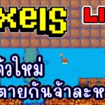 [ LIVE ] Pixel (NFT) ตัวใหม่ มาแล้วจร้า EP.242