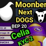 Moonberg Token Next DOGS || Celia KYC 2, BEP20 Address || Pixelverse NFT Price || DOGS