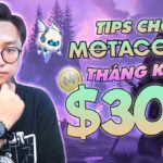 NFT Game Metacene | Mẹo lên lv 35 thần tốc kiếm airdrop FREE