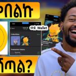 ዋው ይገርማል!! | PIXELVERSE NFT WITHDRAW | You Can Now Claim Your Pixelverse NFT to TON Wallet