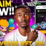 PIXELVERSE NFT WITHDRAW: You Can Now Claim Your Pixelverse NFT to TON Wallet