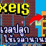 Pixel (Game NFT) เก็บเวลปลูก 1-75 ยังไงดี? สายฟรีเล่นได้