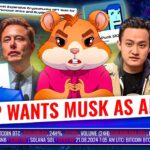 The most expensive CryptoPunk NFT sold, Elon Musk is mocking us, China’s new law ⚡️ Hamster News