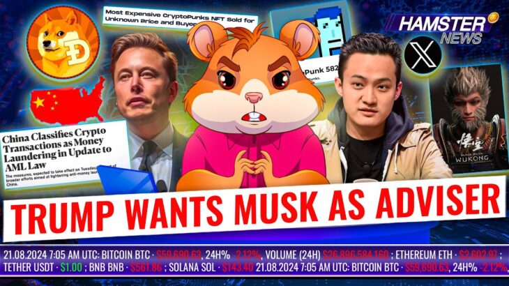 The most expensive CryptoPunk NFT sold, Elon Musk is mocking us, China’s new law ⚡️ Hamster News