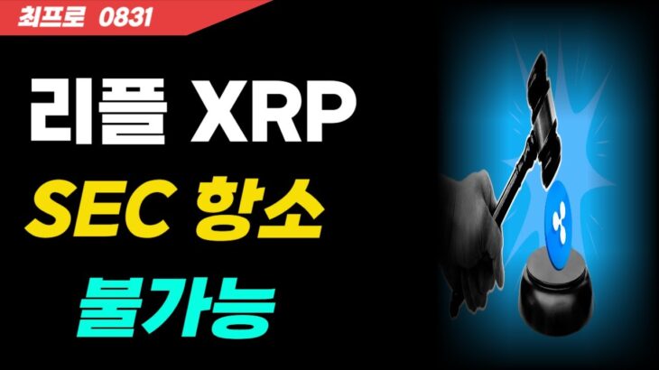 [리플XRP] SEC는 항소를 포기하고 있다! NFT로 시선이 돌아갔다  #리플 #최프로