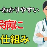 ２型糖尿病になる仕組み