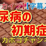 【アーカイブ】偉そうに糖尿病の初期症状を語ってみた【字幕入り】