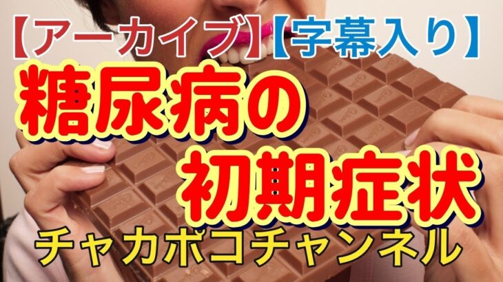 【アーカイブ】偉そうに糖尿病の初期症状を語ってみた【字幕入り】