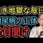 【必見】糖尿病について語るホリエモンまとめ【ホリエモン】切り抜き