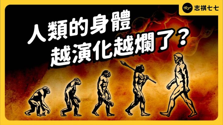 人類比動物更容易噎到！長蛀牙又糖尿病，為了稱霸世界，我們到底犧牲了多少？｜志祺七七