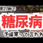 会社の健康診断で糖尿病予備軍って言われたって話。　［ vlog ］【五十路の備忘録】