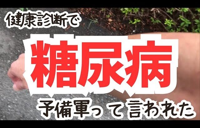 会社の健康診断で糖尿病予備軍って言われたって話。　［ vlog ］【五十路の備忘録】