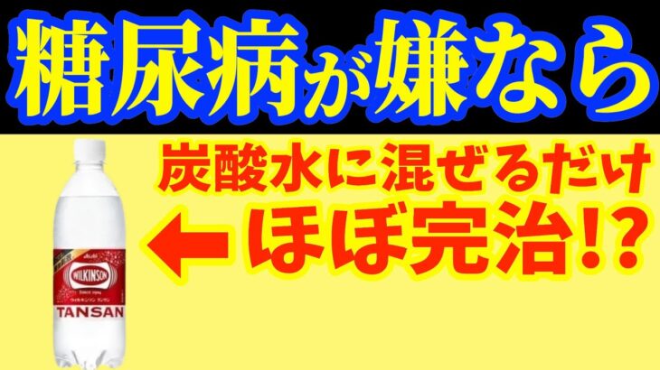 【血糖値200→98】食前に飲むだけ！炭酸水に混ぜて飲むと血糖値やHbA1ｃを劇的に下げ、ダイエット効果もある食べ物7選【腸活｜血糖値・血圧を下げる｜糖尿病｜脳梗塞｜お腹痩せ｜40代50代ダイエット】