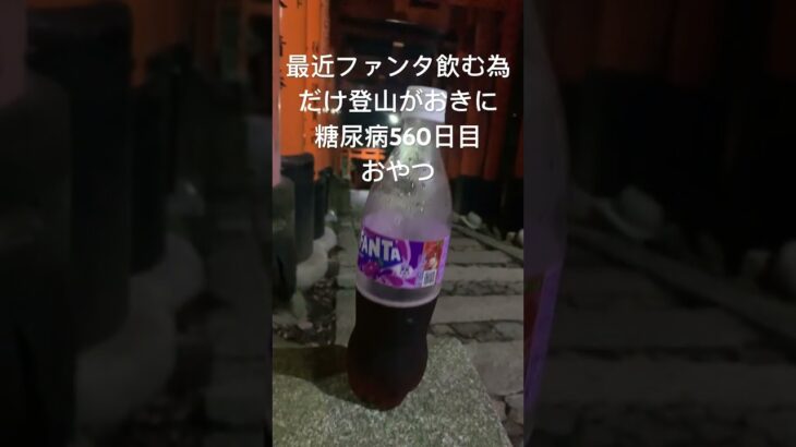 最近ファンタ飲むだけの為に登山ハマってる糖尿病560日目おやつグレープ #糖尿病の品格 #糖尿病 #糖質制限 #登山 #糖質制限ダイエット #有酸素運動 #運動 #山登り #伏見稲荷 #伏見稲荷大社