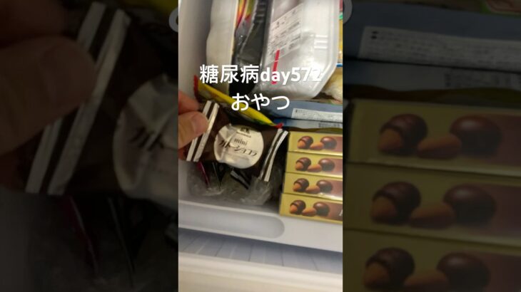 エンゼルパイの偽物が急に食べたくなった糖尿病572日目おやつ #糖尿病の品格 #糖尿病食事 #糖質制限 #糖質 #vlog #ガトーショコラ #おやつ #チョコ #ダイエット #糖質制限ダイエット