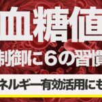 糖尿病予防・改善【血糖値を制御】する6つの習慣。健康な人も見逃せないエネルギーの最大活用方法！！#糖尿病 #血糖値