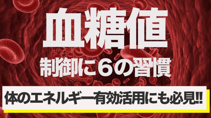 糖尿病予防・改善【血糖値を制御】する6つの習慣。健康な人も見逃せないエネルギーの最大活用方法！！#糖尿病 #血糖値