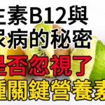 維生素B12與糖尿病的秘密：你是否忽視了這種關鍵營養素？