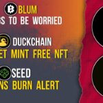 BLUM Worrying Factor | Duckchain Mint Free NFT | SEED Burn Token Alert #blumcrypto #seed