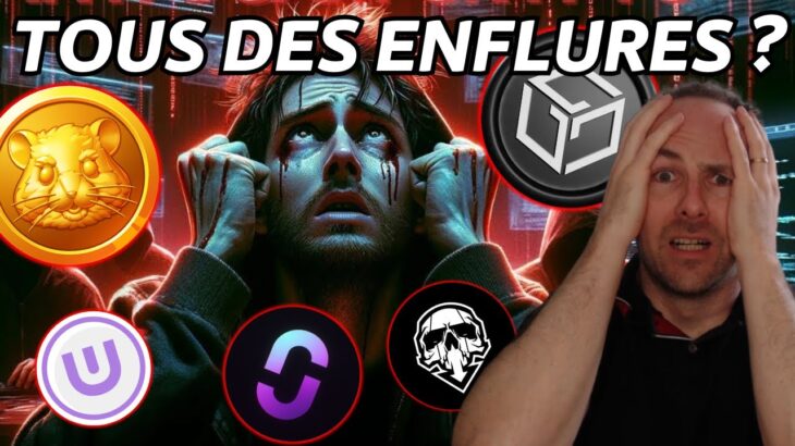 FIN DE GALA GAMES ? TOUS LES JEUX CRYPTO SONT DES SCAMS ?