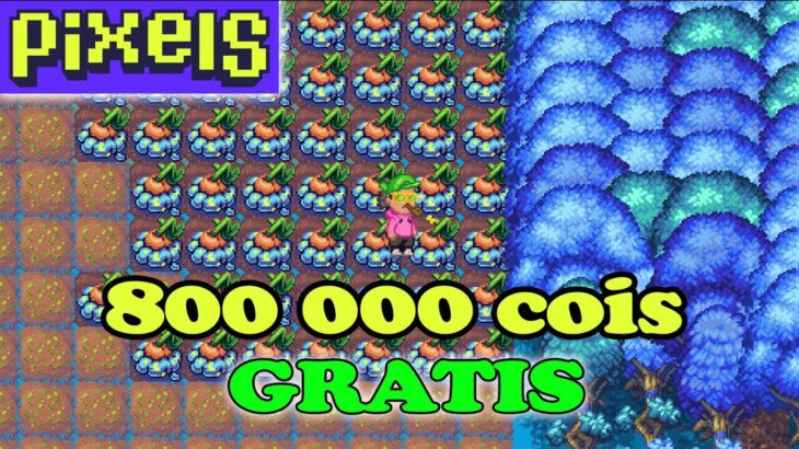 ¡Gana 800,000 Coins por Semana sin Esfuerzo en Pixels NFT! 🪙💰