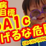 [糖尿病④]HbA1ｃとは？糖尿病の治療目標。下げ過ぎ危険なHbA1ｃ。どのくらい下げれば適切なのか。頑張れば頑張るほどいいのか、糖尿病の治療について。