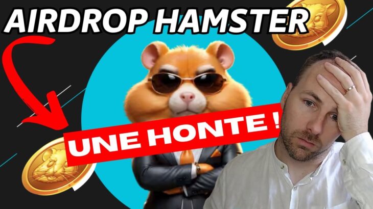 LA HONTE DU AIRDROP HAMSTER KOMBAT – EXPLOSION DES NFT BITCOIN – ACTU