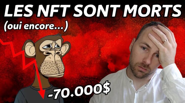 LES NFT SONT MORTS ( perte de 70.000$ ) 🥲