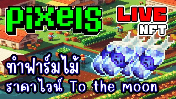 [ LIVE ] Pixel (Game NFT) ไวน์ราคาแพงมากๆ EP.262