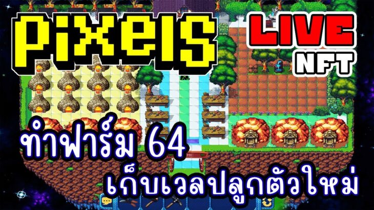 [ LIVE ] Pixel (NFT) เวลปลูก 64 อีกตัวแล้วกัน  EP.249