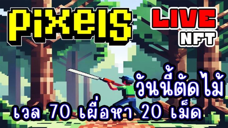 [ LIVE ] Pixel (NFT) เก็บเวลไม้ 70 กัน  EP.248