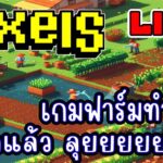 [ LIVE ] Pixel (NFT) เปิดแล้ว รีได้ EP.243