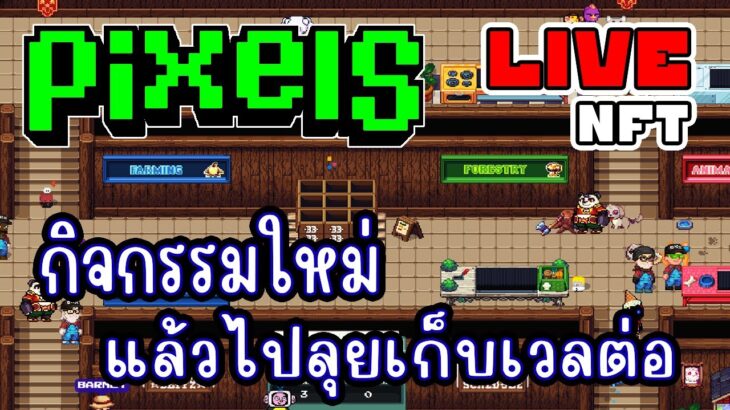 [ LIVE ] Pixel (NFT) กิจกรรมใหม่ หาไข่มุกทอง EP.256