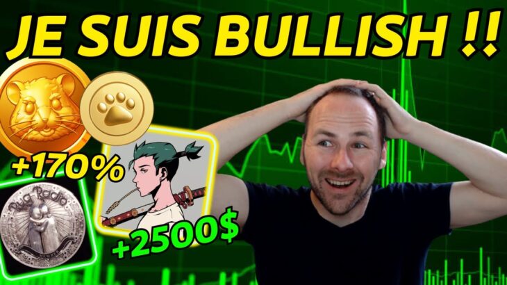 NFT BULLISH – LAUNCHPOOL BINANCE HAMSTER KOMBAT – GAMING EN FOLIE 🤯