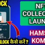 NFT Collection Launch Unlock,Hamster Kombat Daily Combo Cards,Unlock Nft collection launch