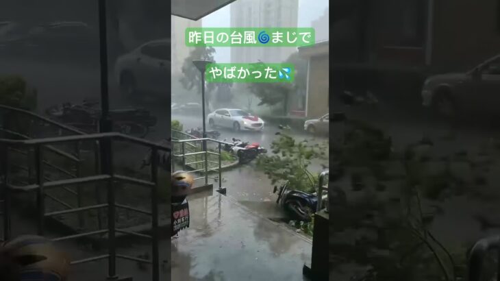 中国駐在員の糖尿病激闘日記　No525 #中国 #中国駐在 #上海駐在員 #台風