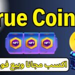 بوت هينافس هامستر كومبات ف الربح True coin اكسب NFT ف دقايق وبيع