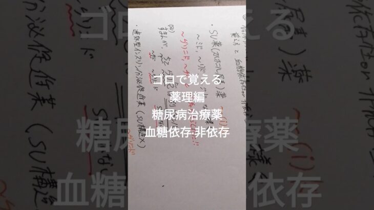 ゴロで覚える薬剤師国家試験　薬理編　糖尿病治療薬の血糖依存·非依存 #ボカロ #糖尿病 #薬理 #薬剤師国家試験 #薬剤師 #薬剤師国家試験対策 #study #薬学ゴロ #薬学部 #薬学生 #cbt