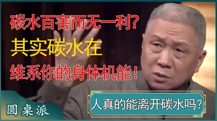 碳水摧毁人的生活？碳水只会让人得糖尿病，百害而无一利？其实碳水在维系你的身体机能！  #窦文涛 #马未都 #圆桌派第七季 #圆桌派 #纪实 #真人秀 #talkshow   #圆桌派 #纪实说