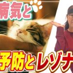 猫の病気（糖尿病、猫風、尿路結石）について　予防とレゾナンス