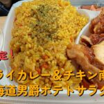 【１型糖尿】今日の昼ご飯の血糖値は？「ドライカレー＆チキン南蛮」「北海道男爵ポテトサラダ」【車中飯】【食レポ】【セブンイレブン】