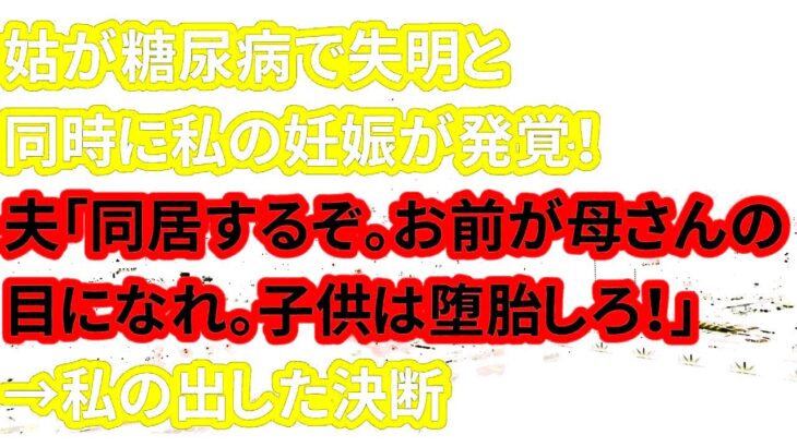 【修羅場な話】姑が糖尿病で失明と同時に妊娠が発覚！夫「同居するぞ。お前が母さんの目になれ。子供は堕胎しろ！」→私の出した決断