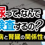 【糖尿病と腎臓への影響】尿検査で何がわかるのか？糖尿病の専門医が徹底解説※本当に大切なことなので必ず見てください