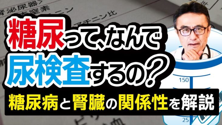 【糖尿病と腎臓への影響】尿検査で何がわかるのか？糖尿病の専門医が徹底解説※本当に大切なことなので必ず見てください